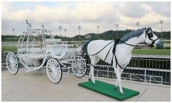 EmiratesSingaporeDerby201124.jpg