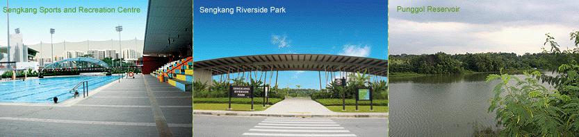 seng-kang-1.png